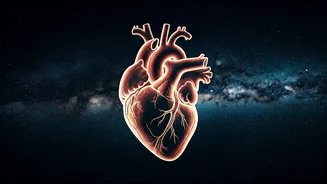 Zodiac Sensitivities: Why Some Feel More Deeply