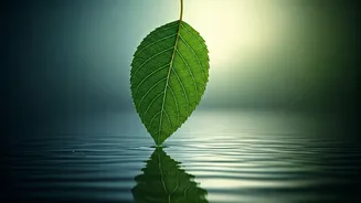 Breathwork Makes Wellness Feel Low-Cost And Real