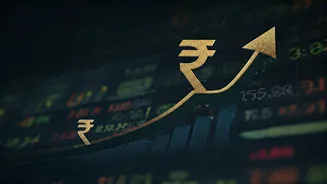 India's IPO Boom: A Deep Dive into the Market's Dynamics