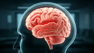 Urbach-Wiethe Disease: Unraveling the Brain's Fear Center and Social Compass