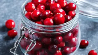 Indoor Cranberry Gardening: Focus On Bright Light Needs