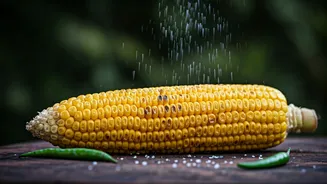 Monsoon's Healthiest Snack Is Trending