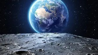 Earth's Toughest Microbes May Find Temporary Refuge in Parts of the Moon
