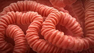 Unveiling IBS: Causes, Diet Pitfalls & Healing