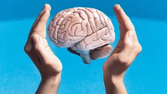 New Findings Strengthen the Link Between Vascular Health and Dementia