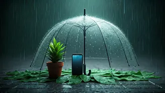 Monsoon Is Here! 10 Rain Rules Everyone Must Know