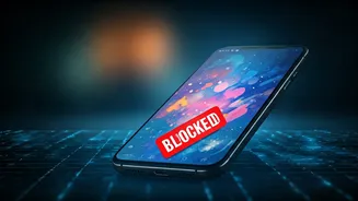 France's Social Media Ban: A New Era?