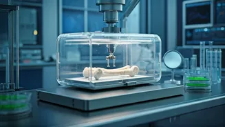 Related Stories banner