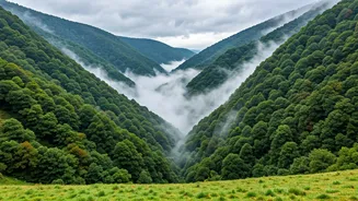 These Misty Destinations Are Perfect Weekend Escapes