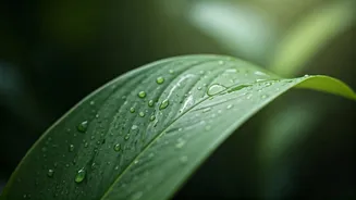 Why Healthy Skin Gets Challenged During Monsoon Too