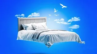 Sleep Apps Promise Insights, but Better Sleep Still Depends on Habits