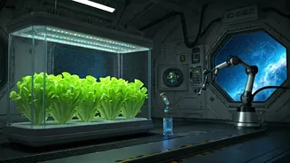 Space Pharmacies May Use Plants For Future Missions