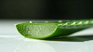 Unlock Radiant Skin: 5 Simple Fresh Aloe Vera Home Remedies for a Natural Glow