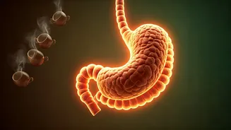 Rajpal Yadav's Daily Chai Habit: Unpacking the Health Impacts of 10-12 Cups