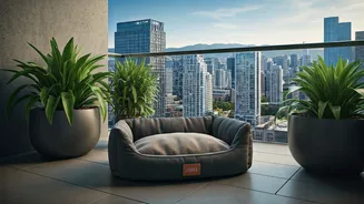 Billion Dollar Pet Market Reshapes Urban Apartment Living