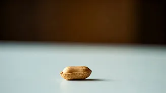 Introducing Peanuts to Your Baby: A Safe Guide