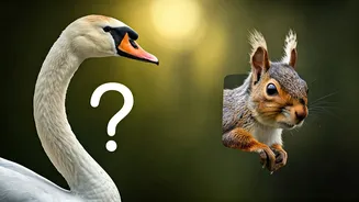 Optical Illusion Personality Quiz: Swan or Squirrel? Discover Your Inner Go-Getter or Realist!