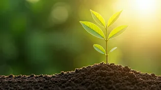 Related Stories banner