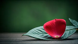 Unlock Youthful Radiance: 5 Daily Habits to Combat Skin Aging