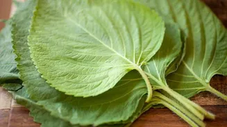 How to use shiso leaves in cooking