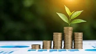 Top 10 Affordable Equity Funds: High Growth Revealed!