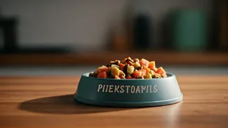 Personalized Pet Food Is India’s Furry Wellness Moment