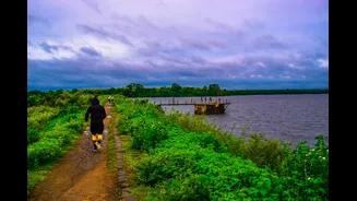 Nagpur May Reintroduce Alternate-Day Water Supply Amid Drought
