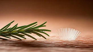 Unlock Fuller Hair: The Power of Microneedling and Rosemary Oil for Hair Regrowth