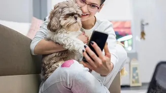 Planning For A Pet-Sitter Handover Sheet Starts With Feeding Instructions And Daily Routines