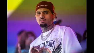 Chris Brown Ordered To Pay $13 Million After Former Housekeeper Was Mauled By His Dog