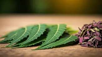 Neem vs. Tulsi: Ayurvedic Health Showdown!