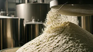 Hyderabad Food Safety Crackdown: 3,900 kg of Adulterated Dairy Products Seized Amidst Unhygienic Conditions