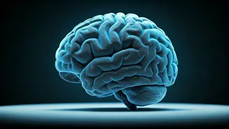 Daily Exercise May Reduce Dementia Risk