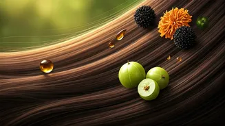 Unlocking Thicker Hair: Ancient Indian Oils for Modern Hair Thinning Woes