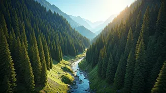 Beat the Delhi Heat: 5 Hill Station Escapes Offering Cool Respite This Summer