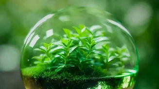 Restoring Healthy Microbes To Waterlogged Soil: Practical Advice For City Garden Enthusiasts
