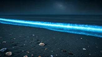 India's Magical Glow: Discover 5 Bioluminescent Beaches Lighting Up the Night