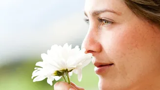 Perfume natural no jardim: 5 plantas que deixam o quintal cheiroso quando a noite chega