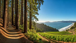 Discover San Francisco's Best Day Trips: Beyond the Golden Gate