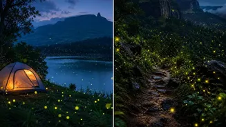 Best nature escapes in India to watch fireflies and trek to historic forts
