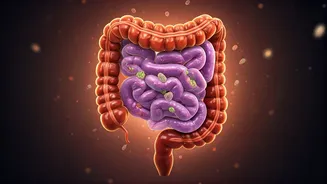 Glow From Within: 5 Gut-Friendly Foods for Radiant Skin & Better Health Post-25