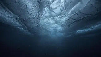Enceladus Strengthens The Case For Future Life-Detection Missions, But Shows Earth Microbes Can Tolerate Simulated Ocean Conditions