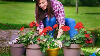The Latest August Gardening Advice Keeps The Focus On Climate-Suitable Plants