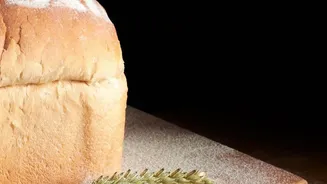 The Slow Bread Trend Gains Momentum Across Chennai