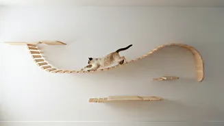 Feline Play Rules: Mount Floating Timber Bridges Across Walls
