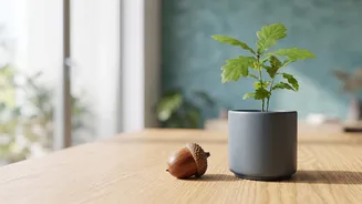 Everyday Saving And Investing Habits Take Centre Stage In Wealth Building: The Facts At A Glance