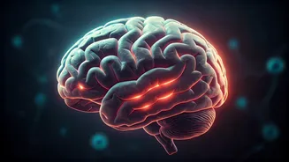 Psicodélicos e o Cérebro: Revolucionando a Medicina Sem a "Viagem"?