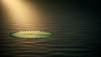 Finding Peace After Heartbreak: A Guide