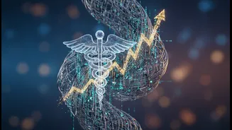 AI Advice Needs Independent Evidence when Health or Money Is Involved
