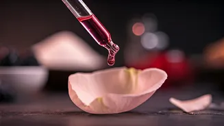 Unlock Culinary Magic: 5 Enchanting Rosewater Recipes to Elevate Your Cooking